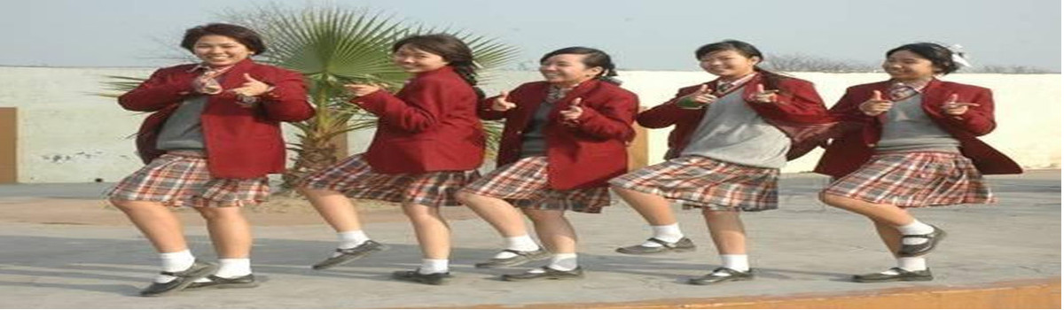 Springfield Public School, Ambala