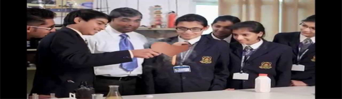 Cambridge Public School, Hisar