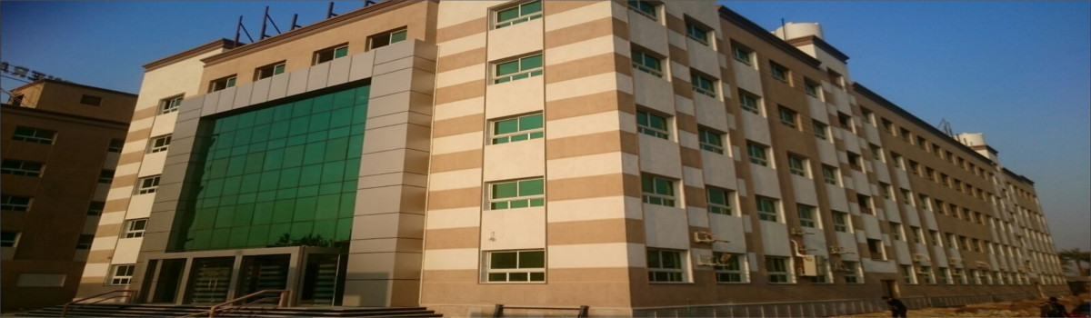 Discovery International School, Kirarod