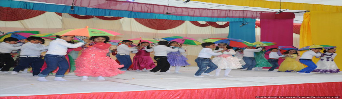 ST Judes School and Cultural Society, Gorakhpur