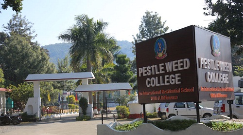 Pestle Weed College, Dehradun